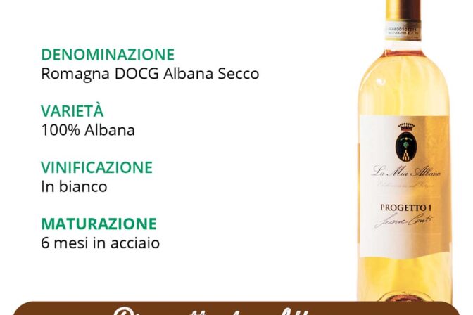 Vini e Territorio: Alla Scoperta del Albana!