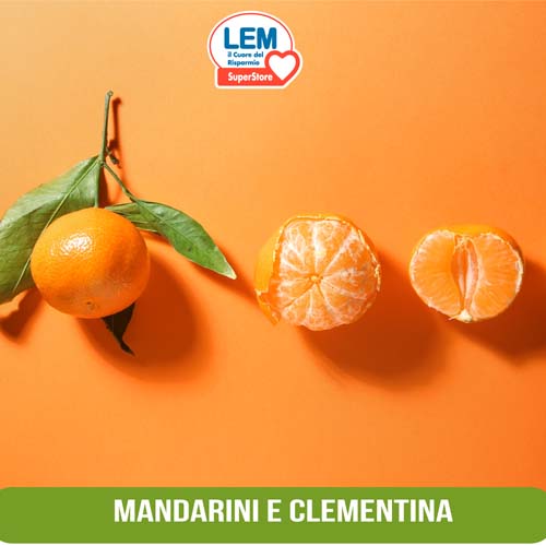 Mandarino e Clementina: Gli aromi dell’Inverno