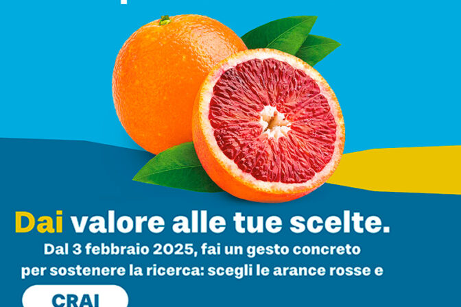 🍊ARANCE ROSSE PER LA RICERCA
