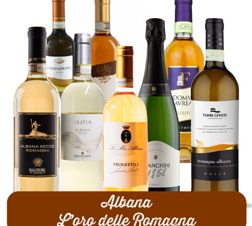 Albana: l’oro autoctono della Romagna che conquista la tavola