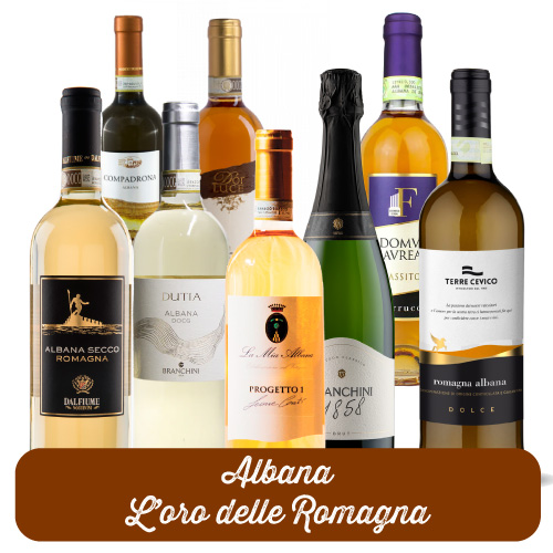 Albana: l’oro autoctono della Romagna che conquista la tavola