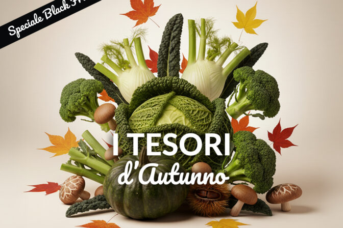 I Tesori d’Autunno: sapori di stagione, idee in cucina e offerte da non perdere da Lem Superstore