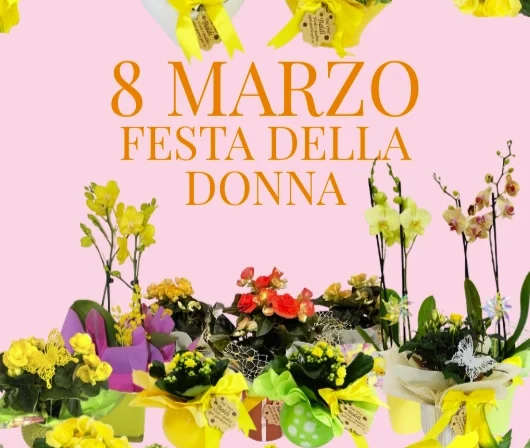 Festa della Donna: mimose, dolci e non solo